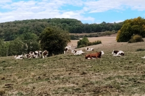 Sécheresse : La quasi-totalité du département en rouge. De nouvelles mesures de restriction des usages de l'eau s'imposent à compter du 30 septembre 2026
